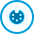 WordPress Design Integration