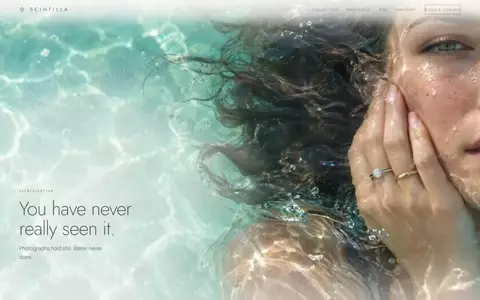 Scintilla website design by Perception System