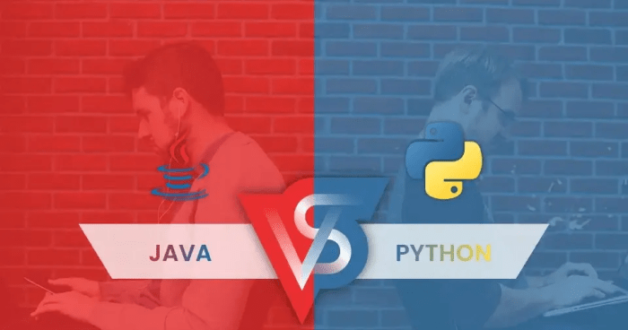Java Vs. Python – Which Programming Language is More Productive?