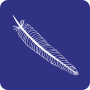 Apache