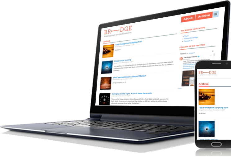 wordpress cms development