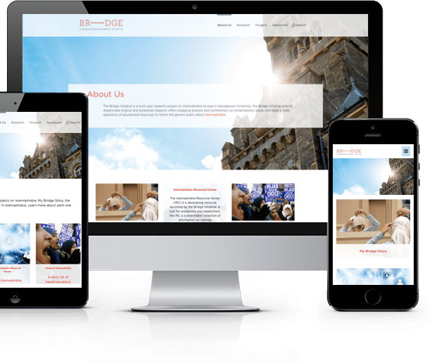 wordpress cms website development