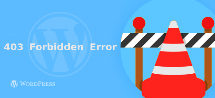 403 Forbidden error