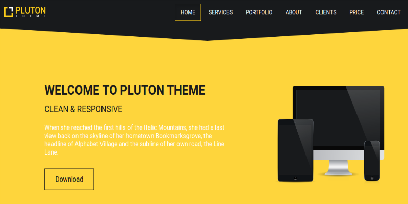 Pluton Bootstrap Template