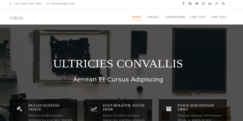 Viral Free Website Template