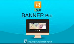 banner-pro