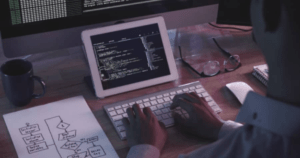 Software Developer