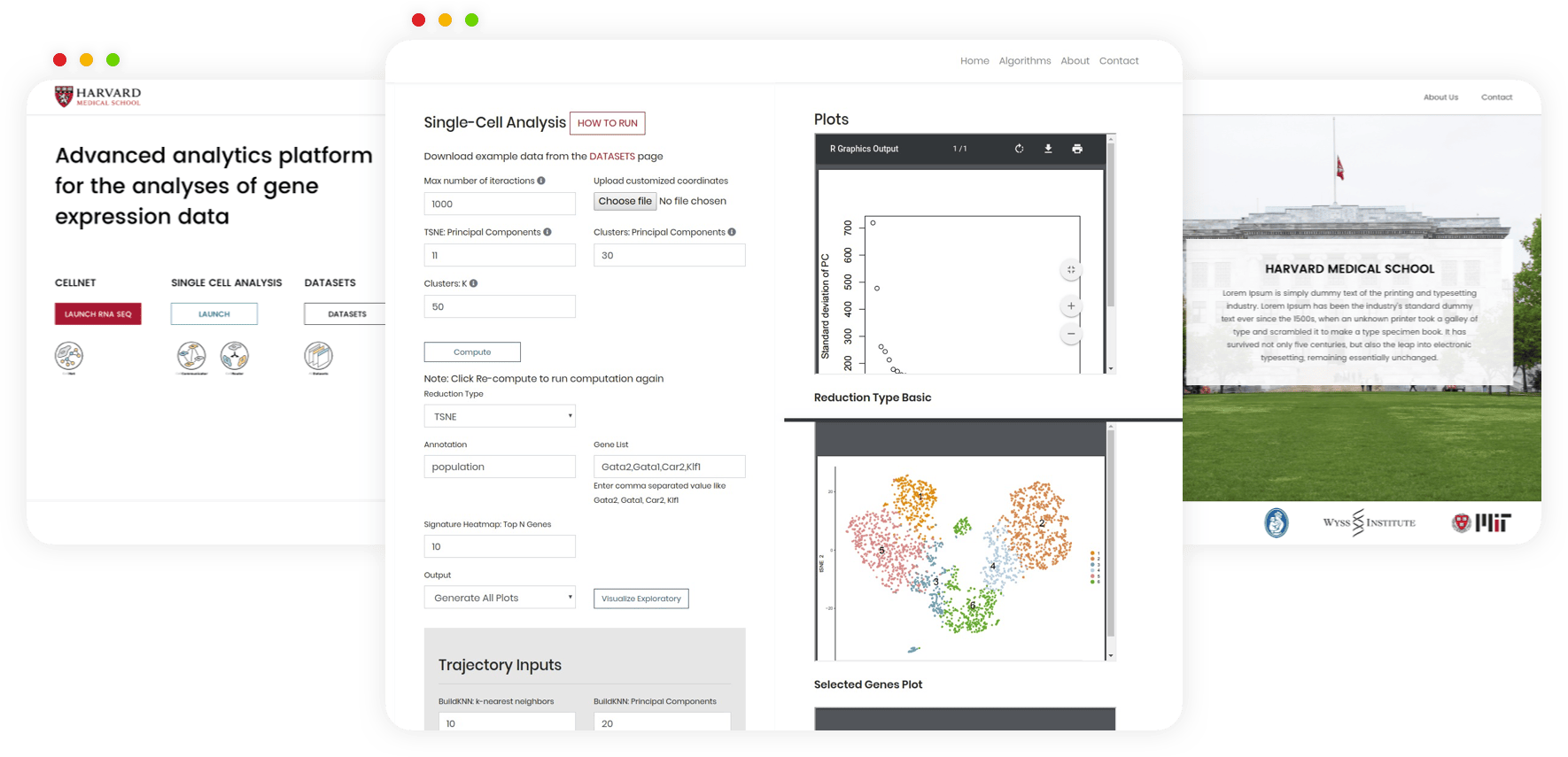 project-scope